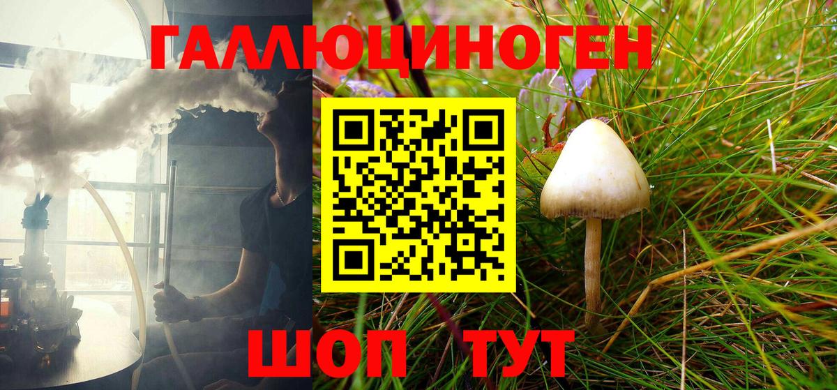 Галлюциногенные грибы Psilocybe  Псилоцибиновые грибы MAGIC MUSHROOMS  Губкинский  Вход с VPN 